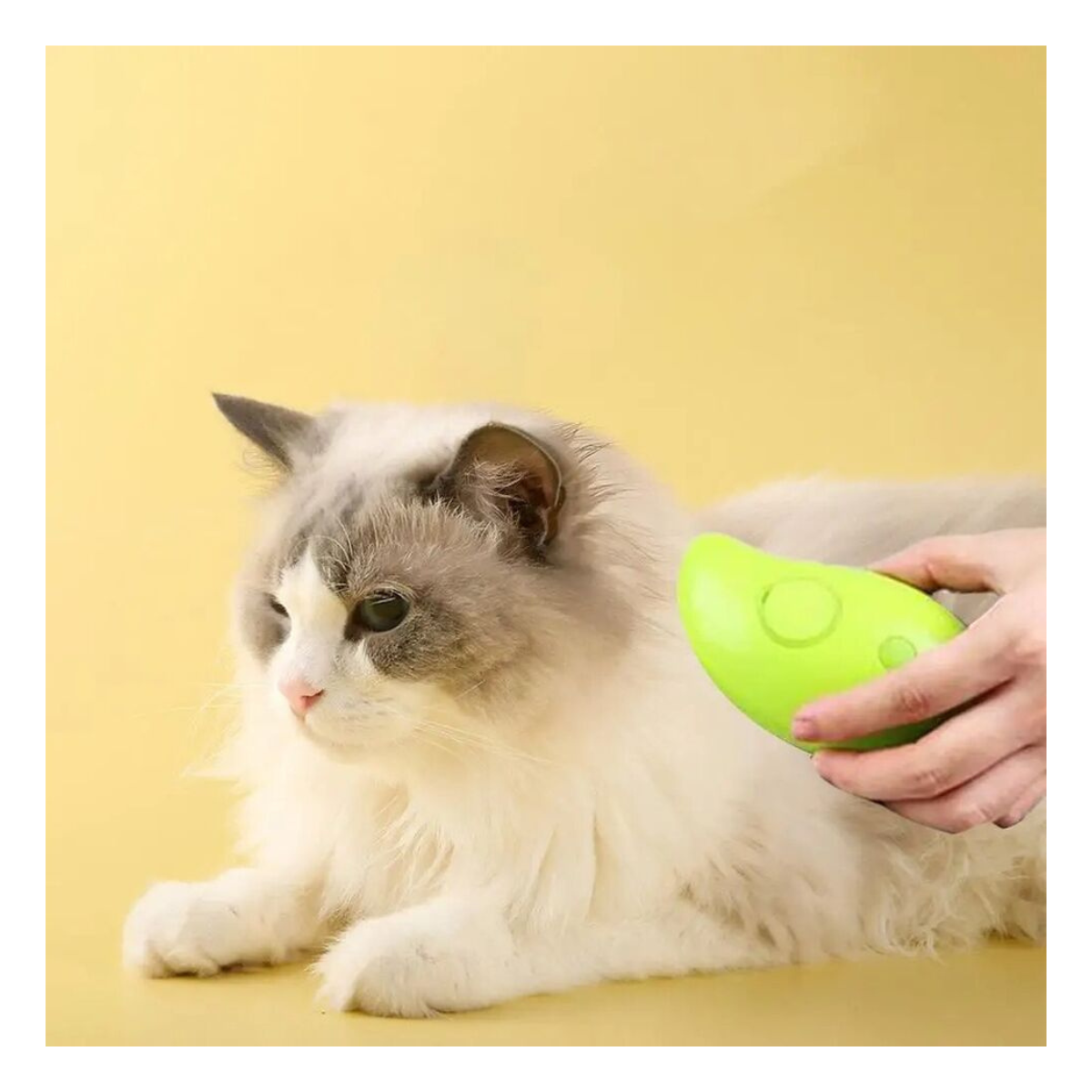 CEPILLO DE VAPOR MULTIFUNCIONAL DE MASCOTA